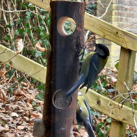 Boshuisje Durbuy Met Zwembad Op Het Park Kültér fotó
